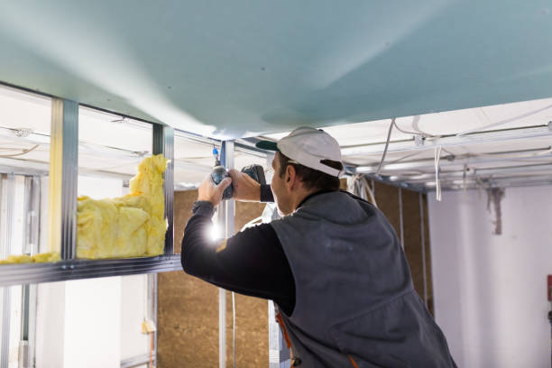 Best Cellulose Insulation in Dayton, NV
