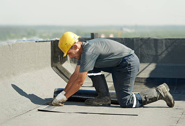 Professional Insulation Contractor in Dayton, NV