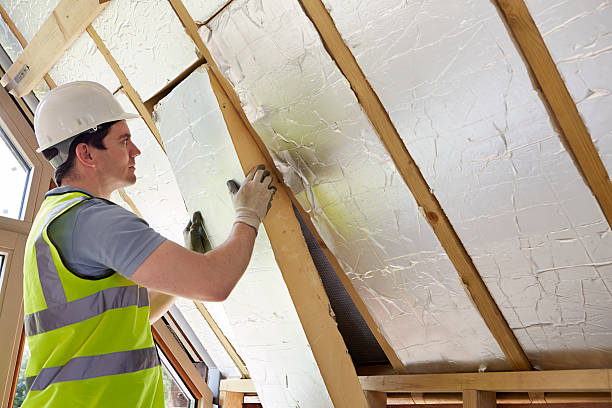 Best Insulation Maintenance and Repair in Dayton, NV